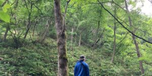 山林物件　山形県最上郡鮭川村