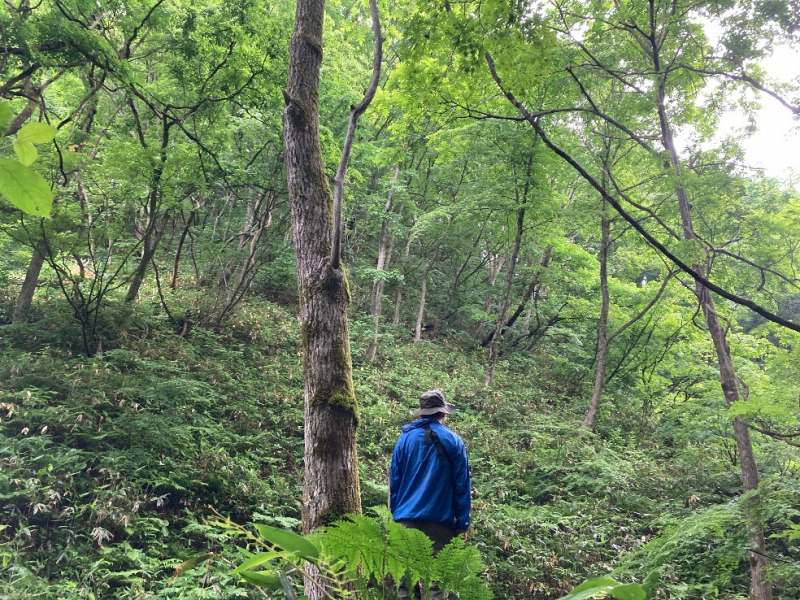 山林物件　山形県最上郡鮭川村