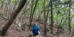 山林物件　山梨県甲府市下帯那町