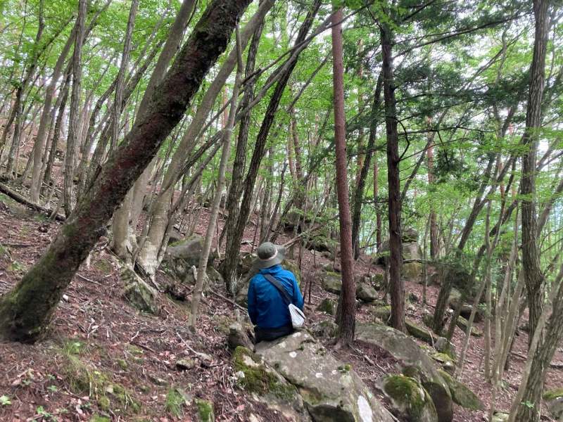 山林物件　山梨県甲府市下帯那町