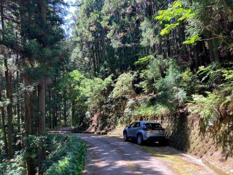 山林内駐車位置