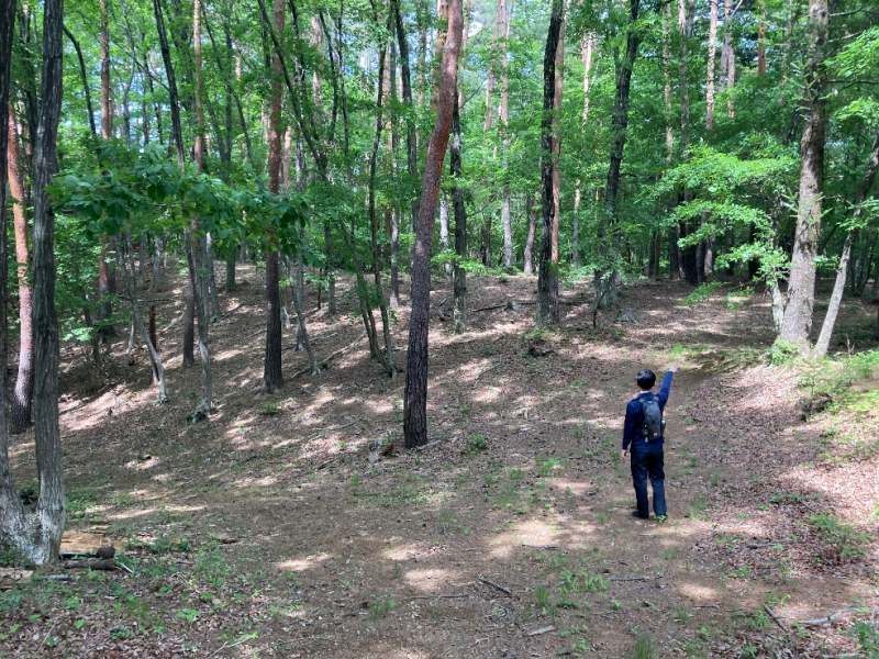 山林前面の作業道