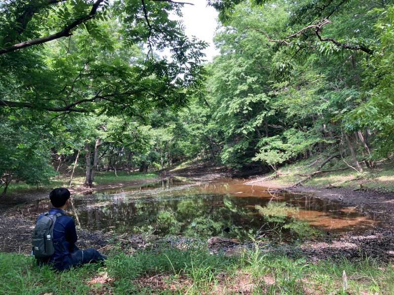 山林内の池
