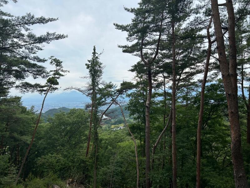 山林現地からの眺望