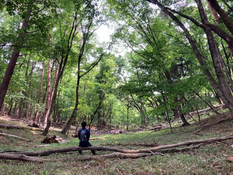 山林物件　山梨県韮崎市円野町
