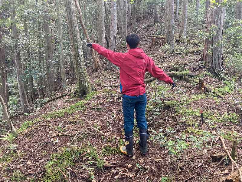 山林対象地北側境界付近