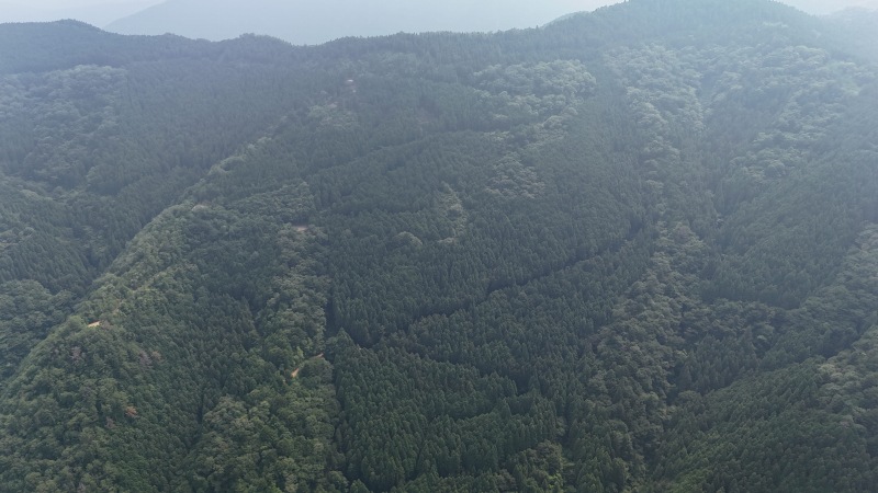 上空から見た現地