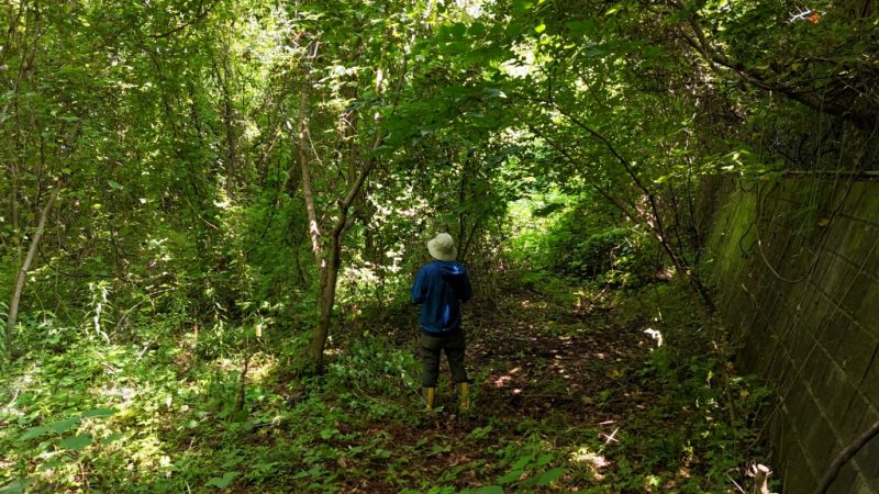 山林内造成地の様子①