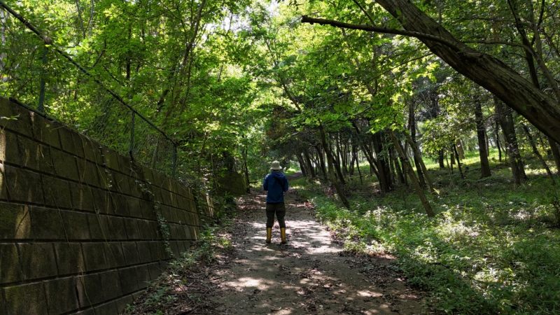 山林前面の里道の様子