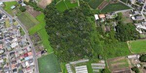 山林物件　栃木県芳賀郡芳賀町