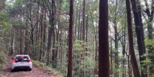 山林物件　鹿児島県薩摩郡さつま町