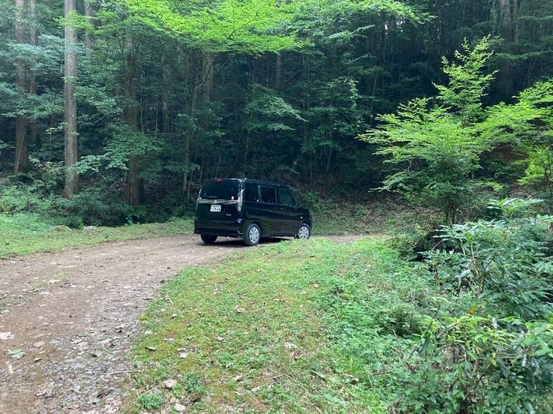 山林前面道路