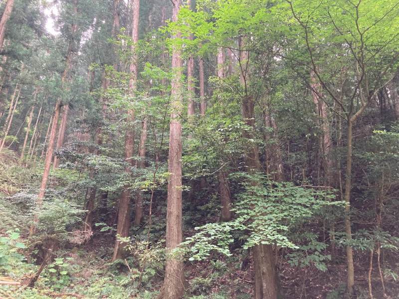 山林物件　高知県高岡郡檮原町
