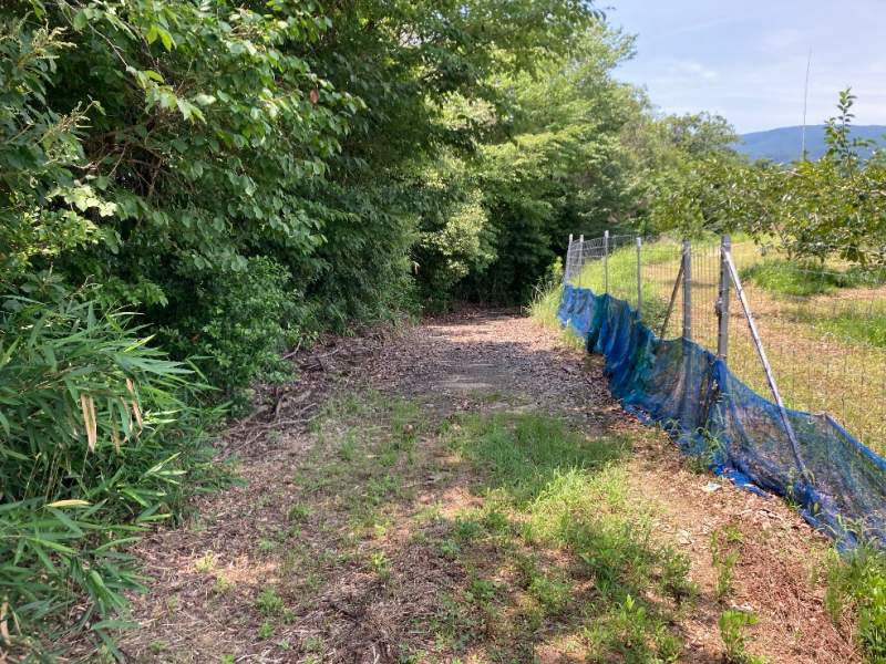 山林東側前面道路