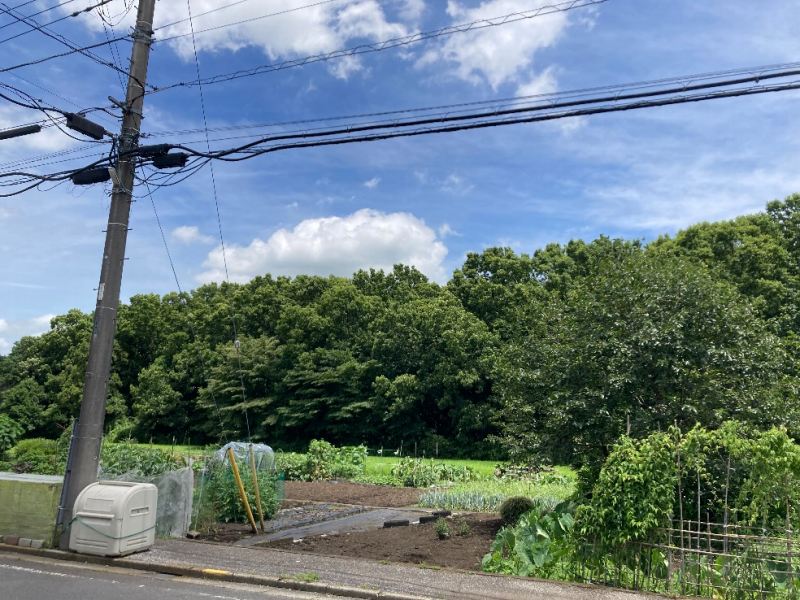 山林西側からみた対象地