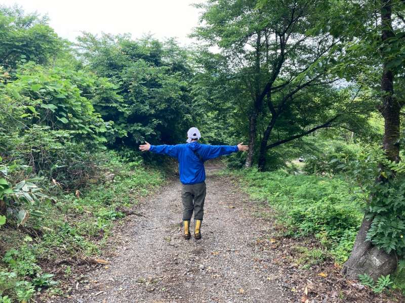 山林内林道