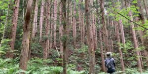 山林物件　岩手県岩手郡雫石町