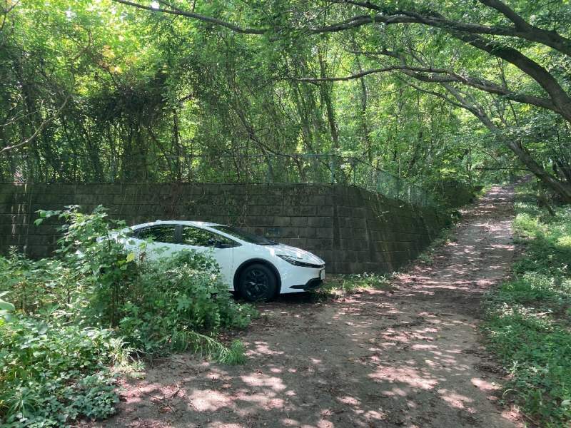 山林内の車停車位置