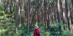 山林物件　栃木県那須烏山市宇井