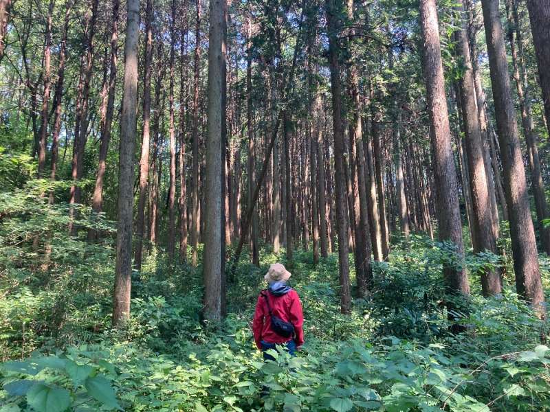 山林物件　栃木県那須烏山市宇井