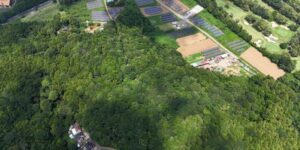 山林物件　茨城県稲敷市上君山