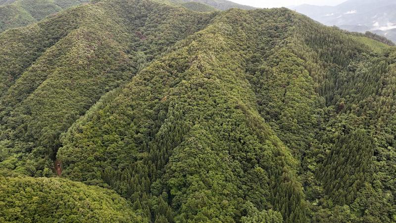 山林物件　岩手県宮古市和井内