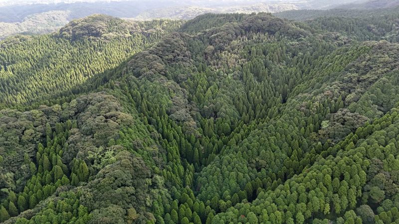 山林物件　鹿児島県日置市吹上町