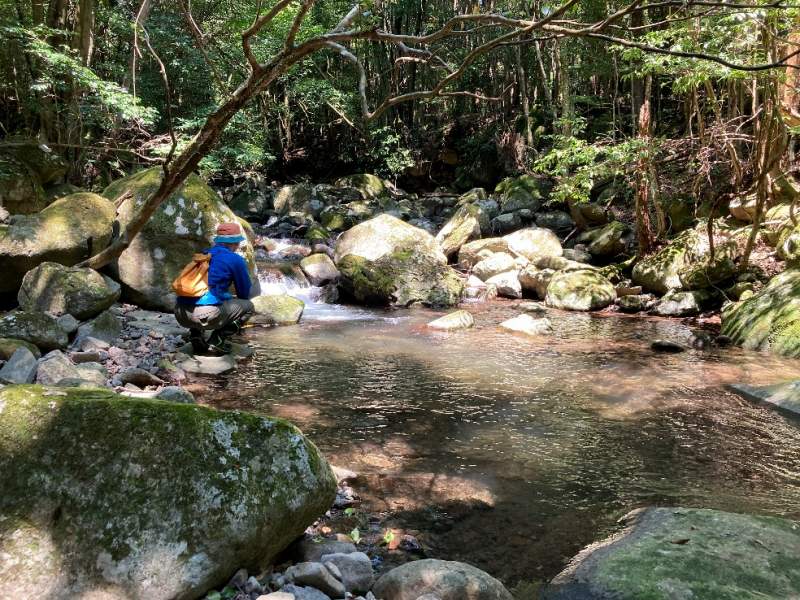 山林前面の沢