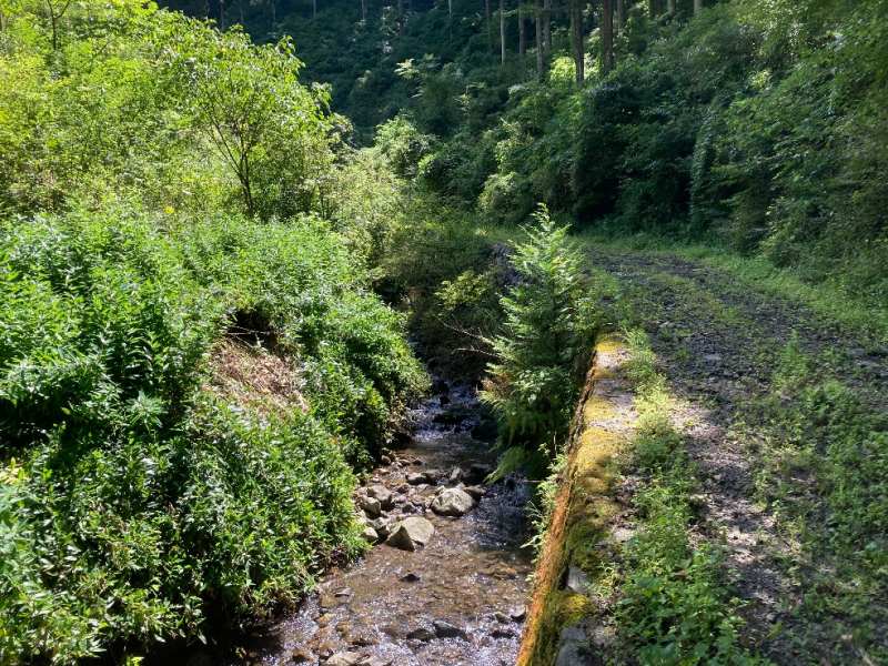 山林前面道路と川