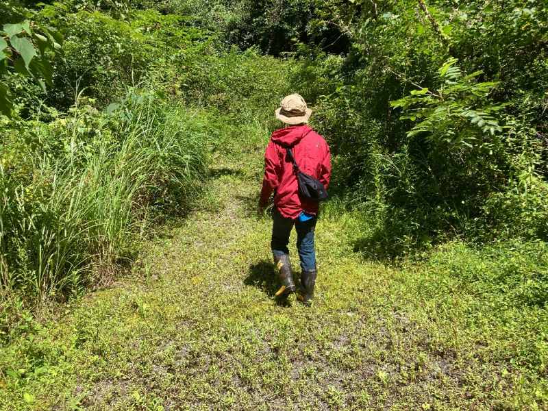 山林内平坦地