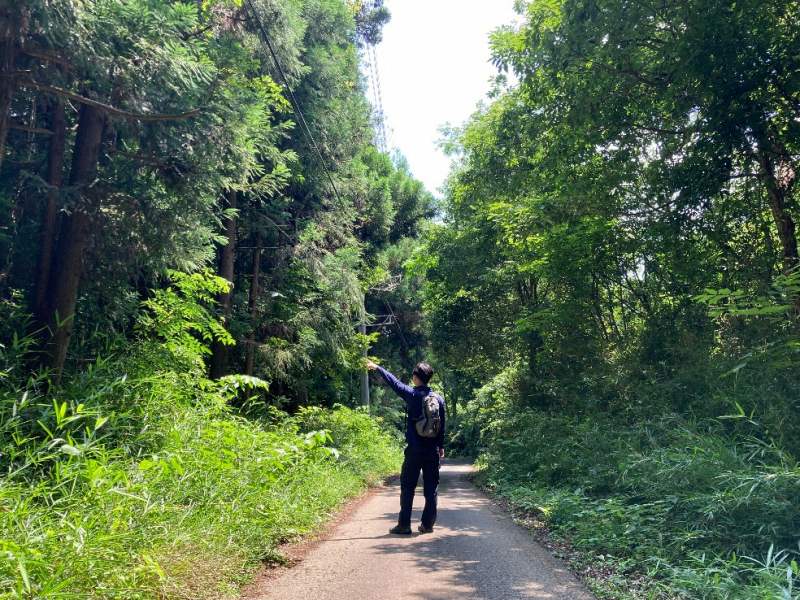 山林前面道路