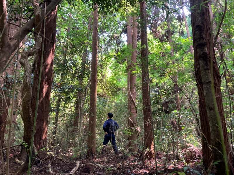 山林内中央部の様子①