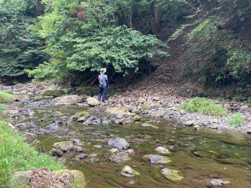 山林前面の川