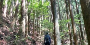 山林物件　東京都西多摩郡檜原村
