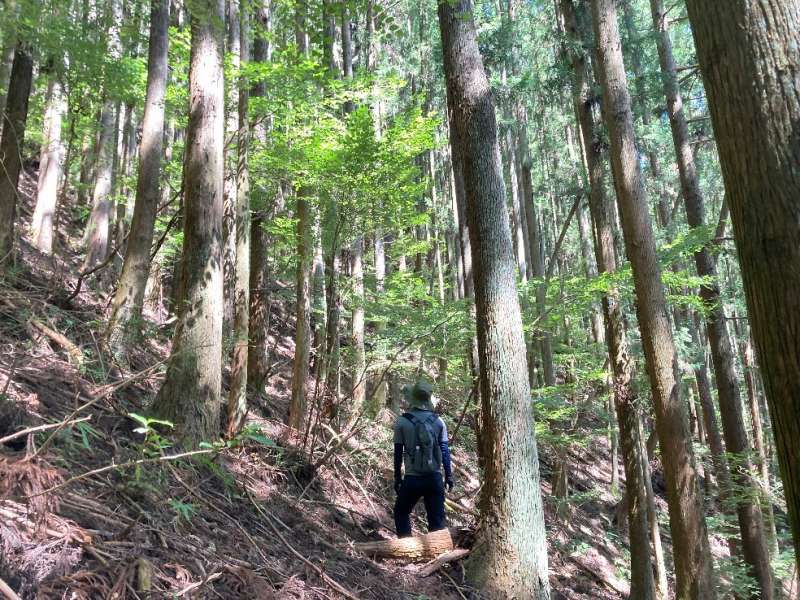 山林物件　東京都西多摩郡檜原村