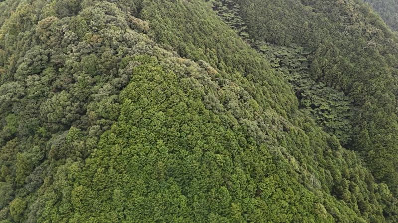 山林上空から見た山頂