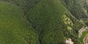 山林物件　和歌山県日高郡日高川町