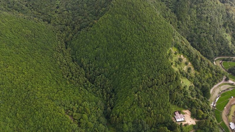 山林物件　和歌山県日高郡日高川町