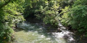 山林物件　山形県西置賜郡小国町