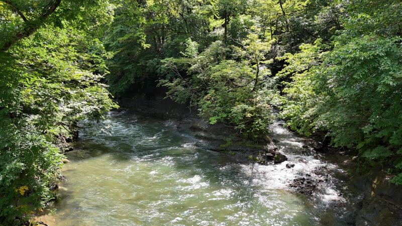 山林物件　山形県西置賜郡小国町