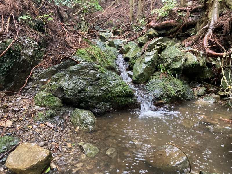 山林隣地の水路※対象外