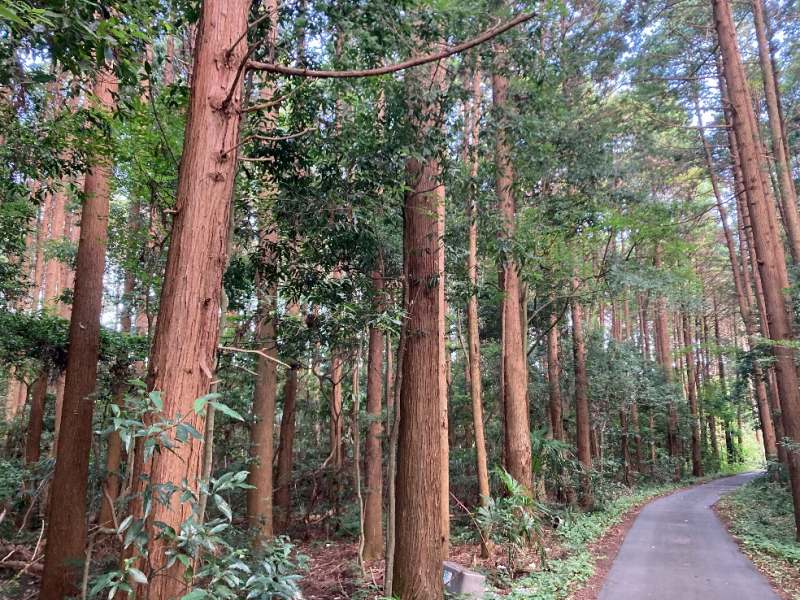 山林物件　茨城県水戸市堀町