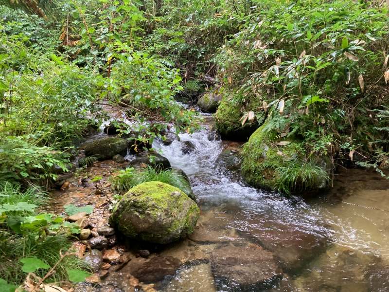 前面を流れる大谷川