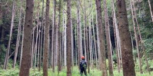 山林物件　千葉県長生郡長南町