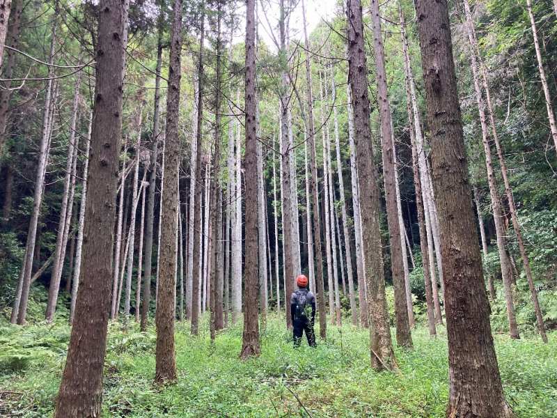 山林物件　千葉県長生郡長南町
