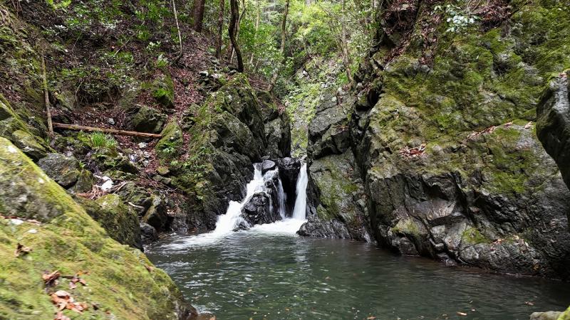 山林対象地沿いの川