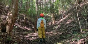 山林物件　宮城県柴田郡柴田町