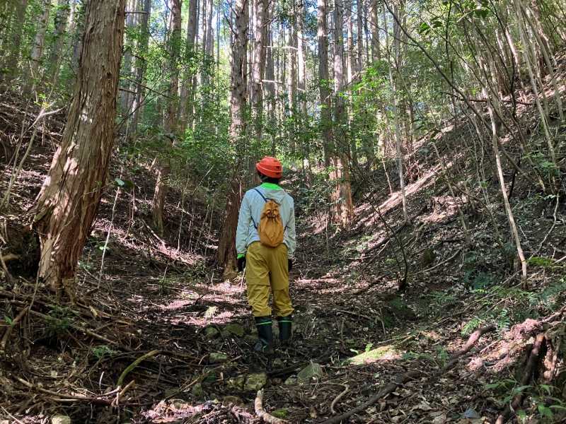 山林物件 宮城県柴田郡柴田町