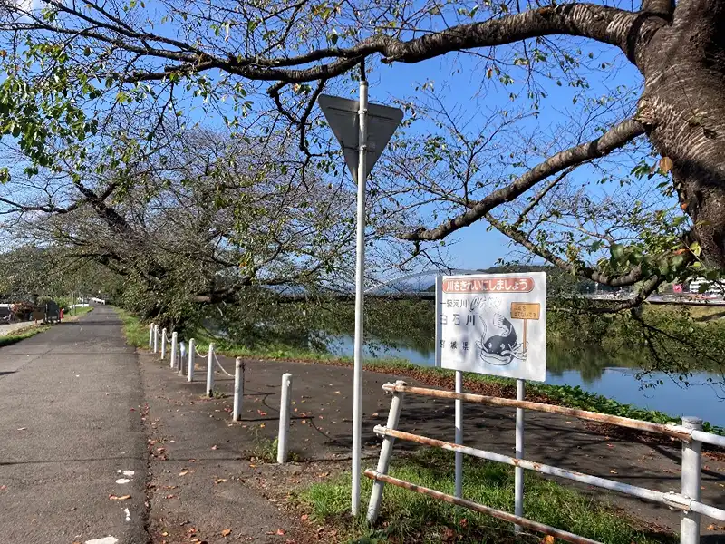近隣の白石川と千本桜