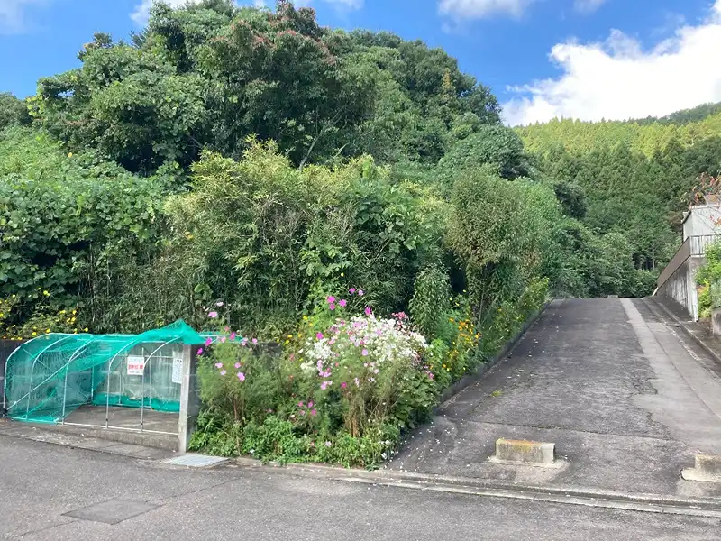 山林東側境界